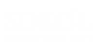 Małopolskie Centrum Kultury SOKÓŁ